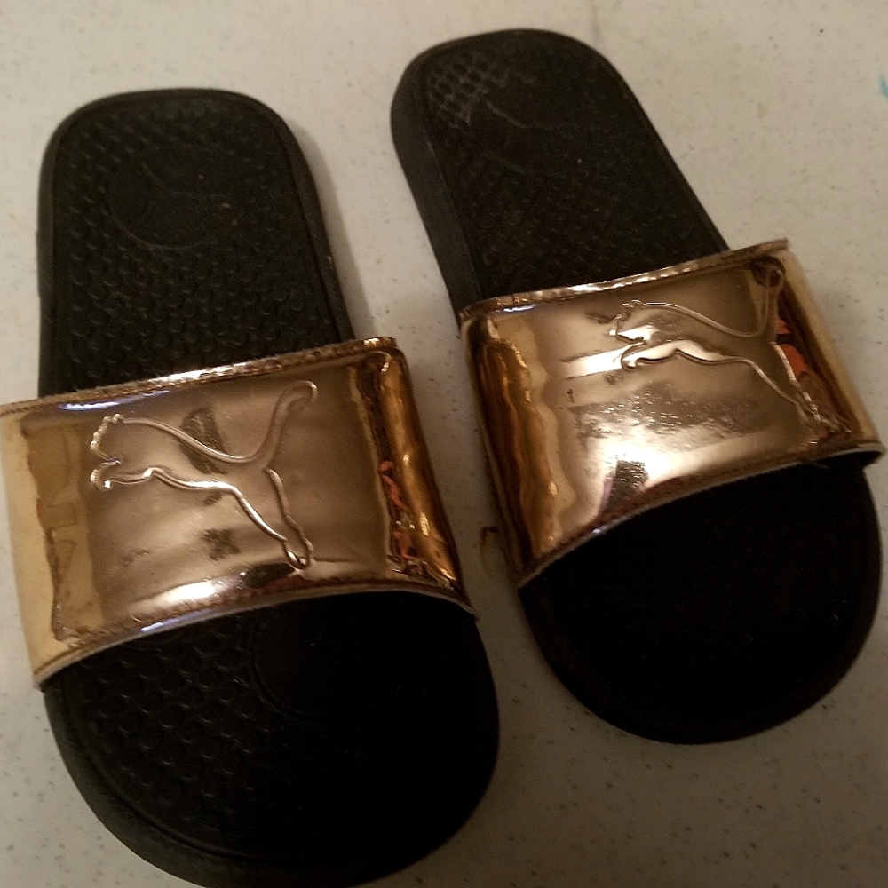 Puma slides